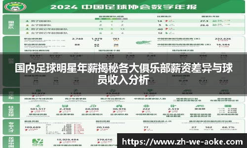 国内足球明星年薪揭秘各大俱乐部薪资差异与球员收入分析